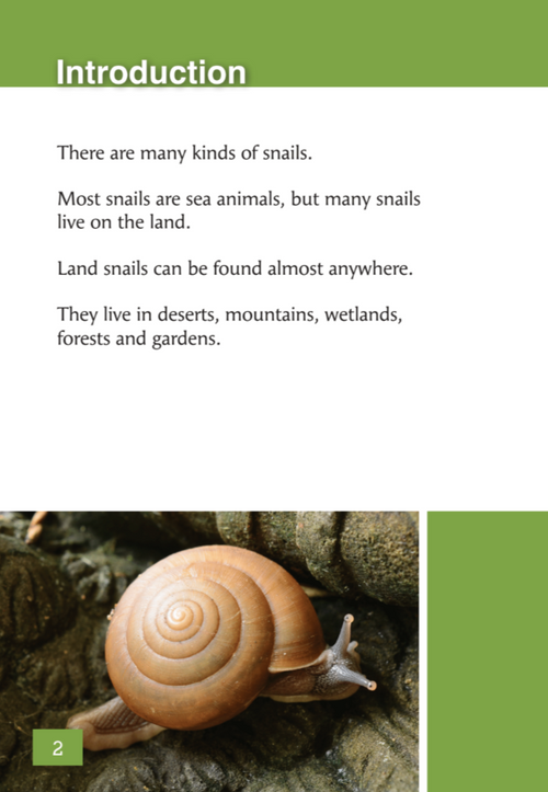 Amazing Snails book by Emily Wood