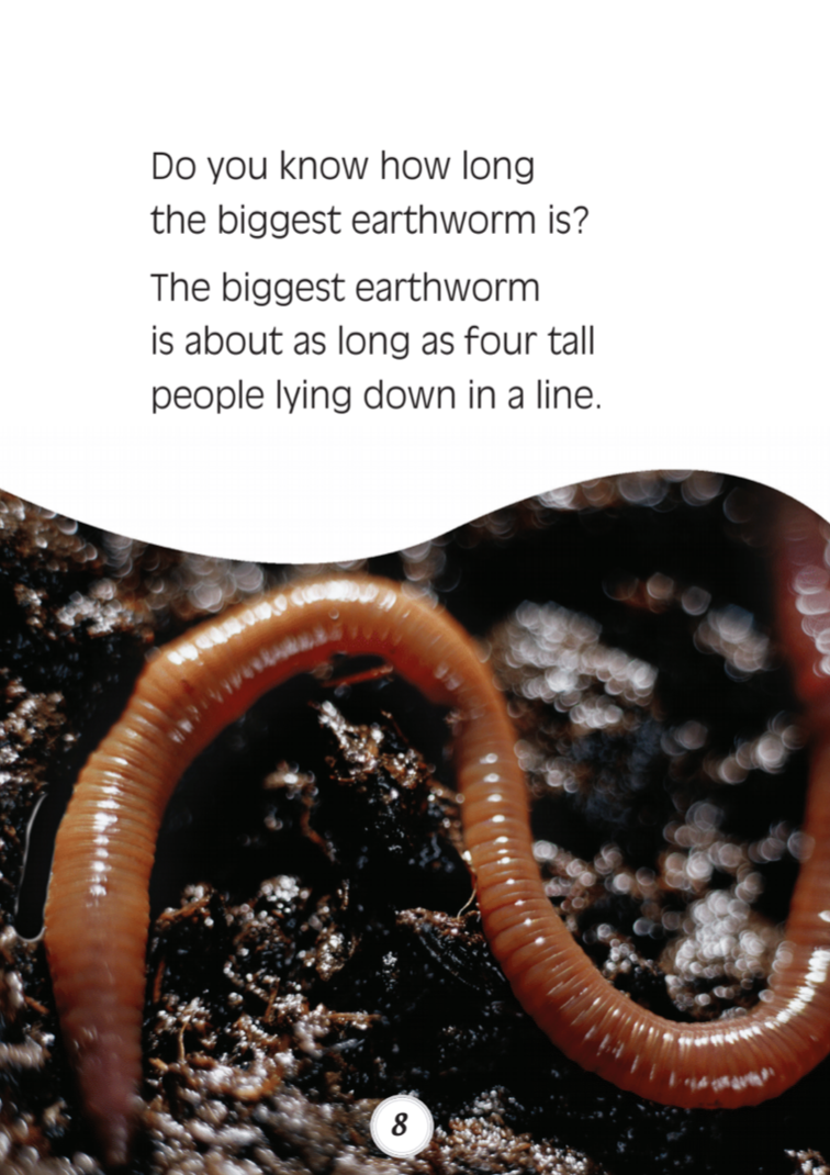 How Big book by Meryl-Lynn Pluck