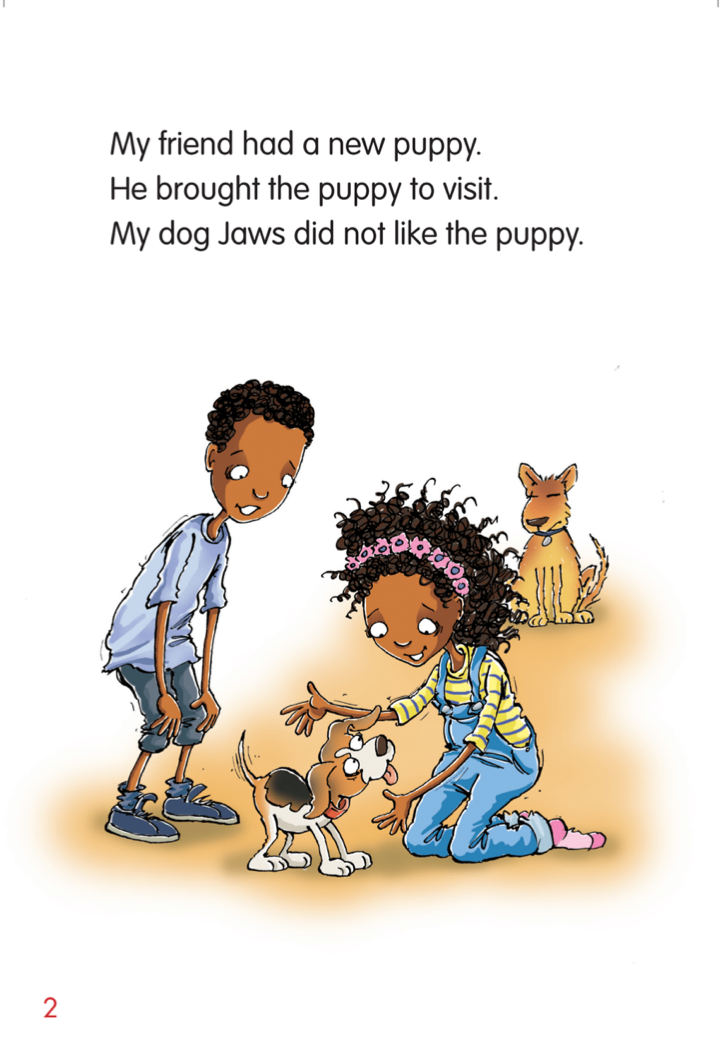 Jaws and the Puppy book by Kerrie Shanahan