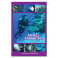 Marine Encounters by book Angie Belcher