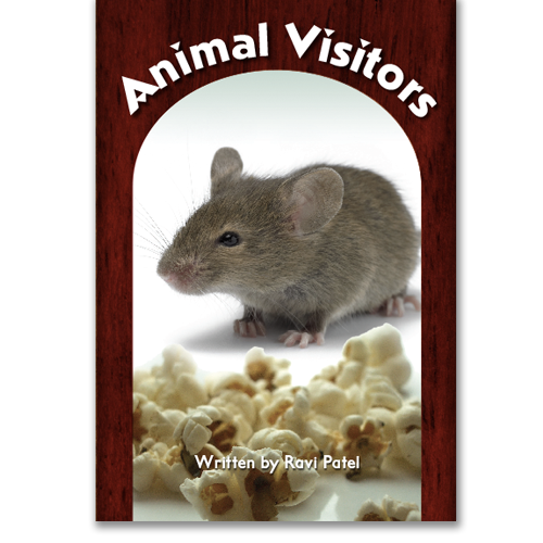 Animal Visitors book by Ravi Patel