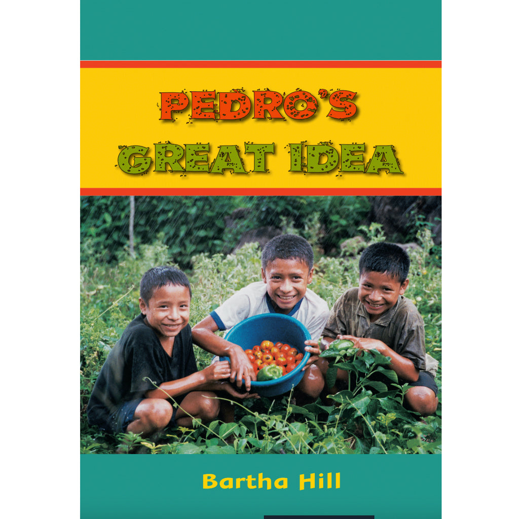 Pedro’s Great Idea book by Bartha Hill