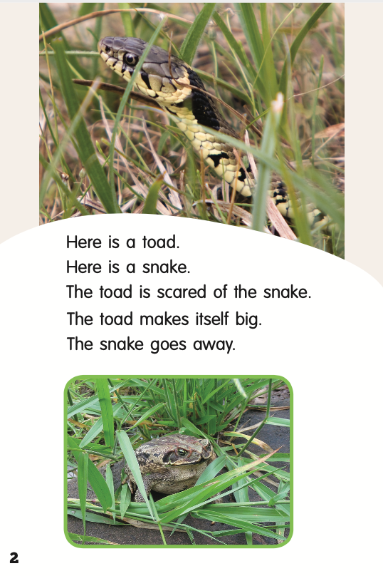 Scared Animals book by Carol Krueger