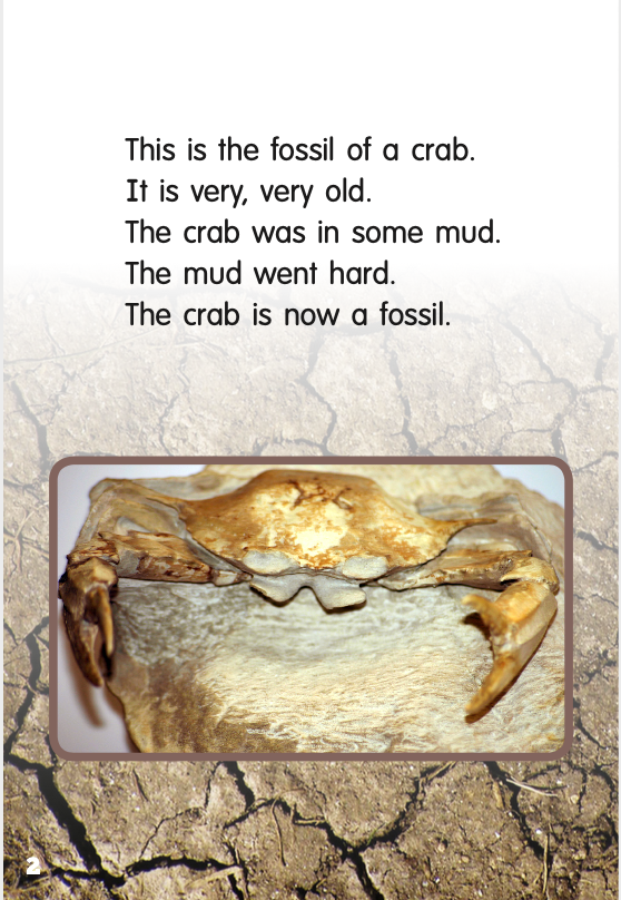 Fossils book by Jane Buxton