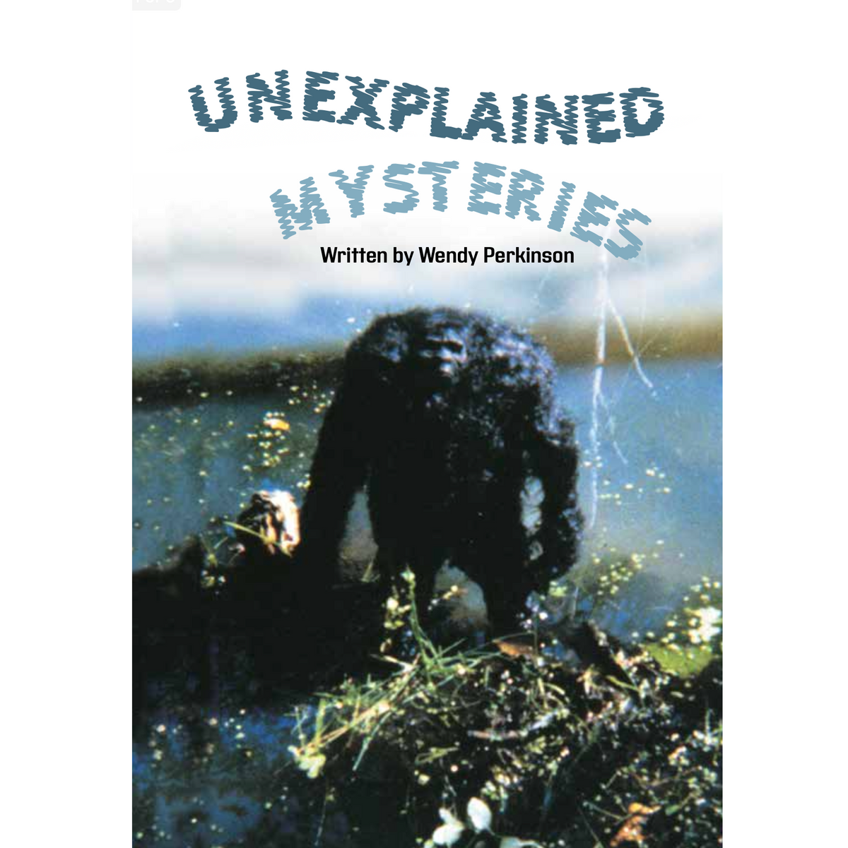 Unexplained Mysteries book by Wendy Perkinson