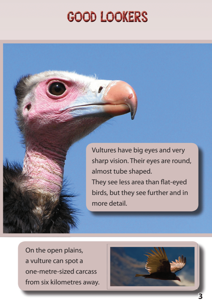 Vulture Culture book by Carol Krueger