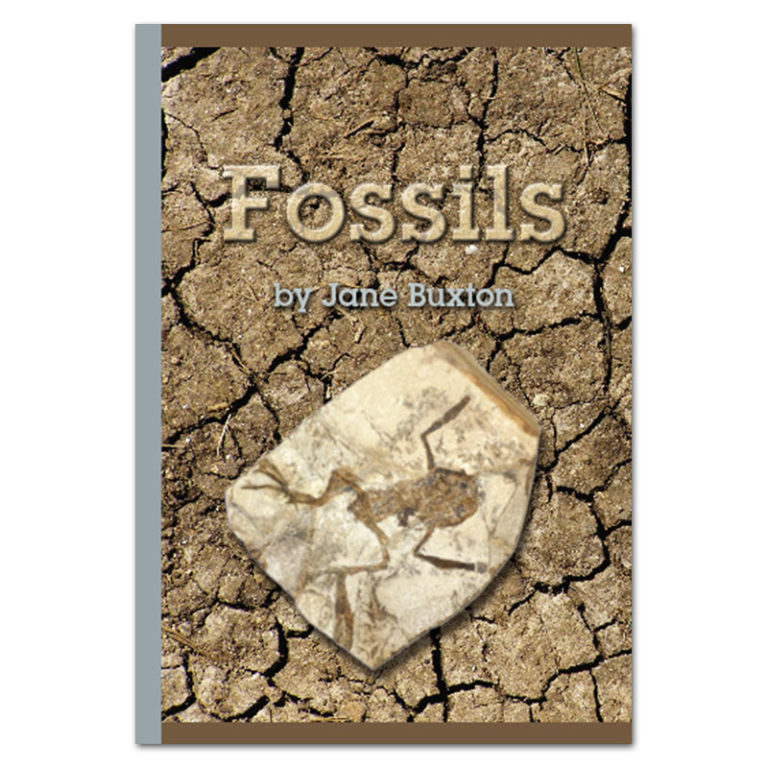 Fossils book by Jane Buxton Rainbow Reading