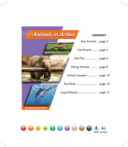 Animals in Action BIG BOOK