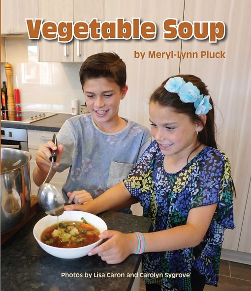 Vegetable Soup book