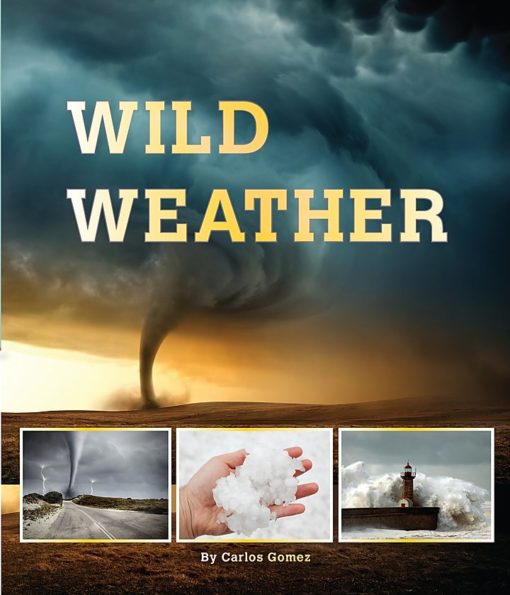 Wild Weather