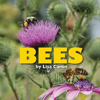 Bees book