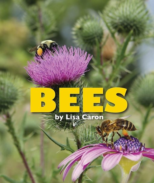 Bees book