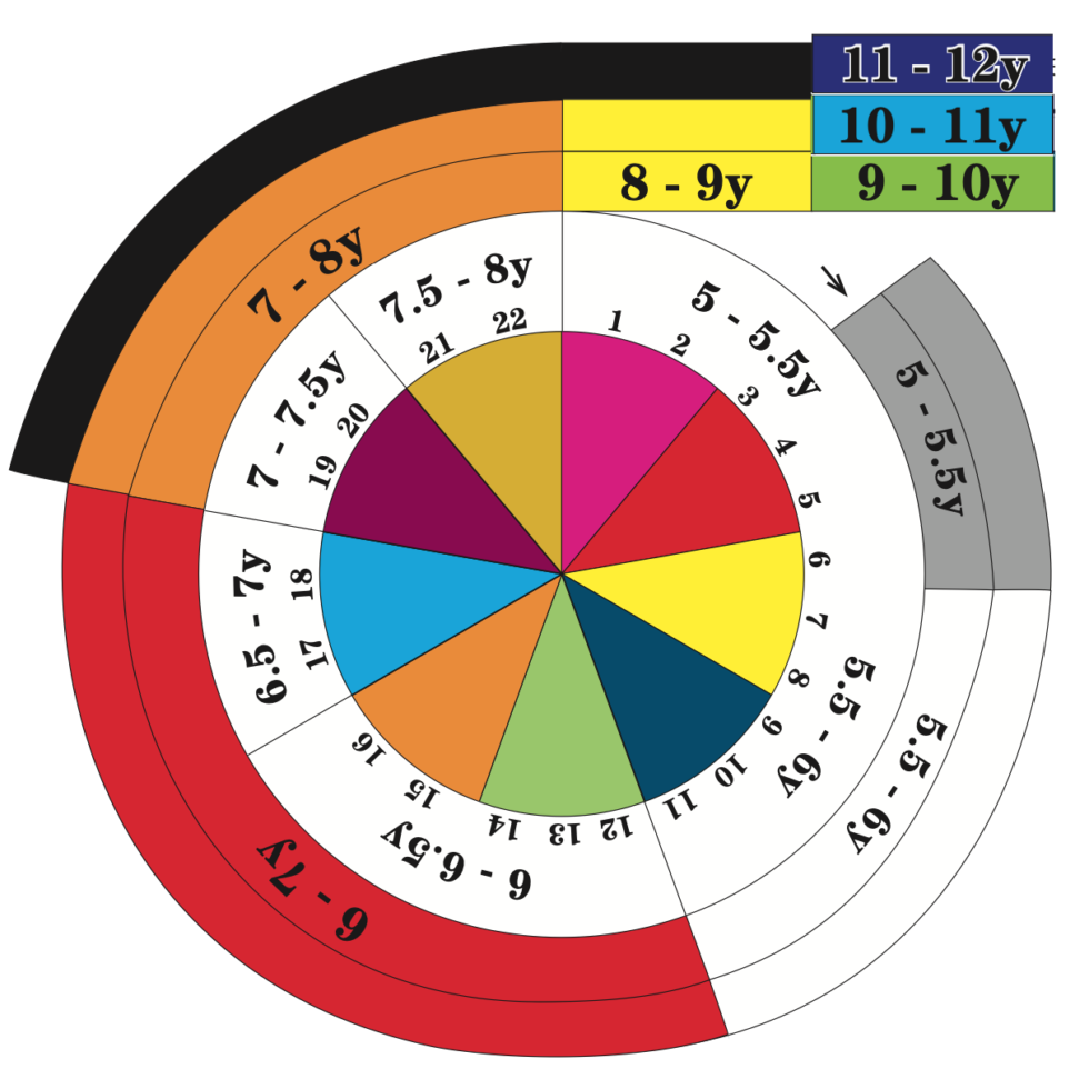 Reading Recovery Levels (Suggested Comparisons) Rainbow Reading