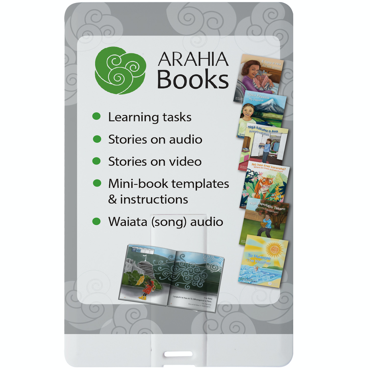 Activities: for All 6 Titles | ARAHIA – USB card & Download - Rainbow  Reading