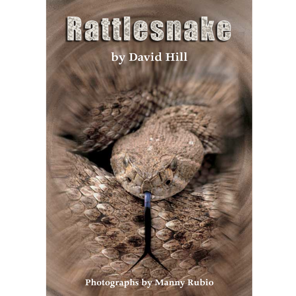 Rattlesnake book by Manny Rubio Rainbow Reading